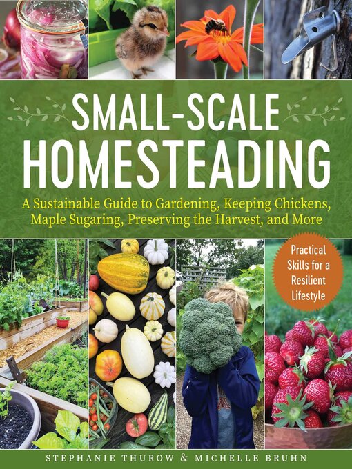 Title details for Small-Scale Homesteading by Stephanie Thurow - Available